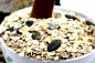 Preview: Bio Körner Porridge, glutenfrei 430g